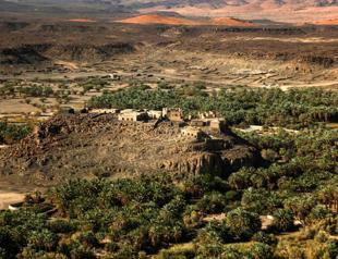 4,000-year-old town discovered hidden in Arabian oasis