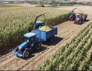 Agriculture sector to benefit from extended FTA with UK