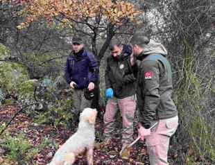 Study to construct Türkiye’s truffle map