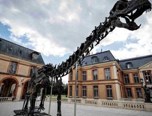Dinosaur skeleton fetches 6 million euros in Paris sale