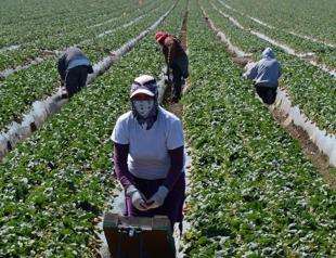 Trumps mass deportation plan could end up hurting growth