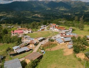 COP16 biodiversity talks to restart in February: UN