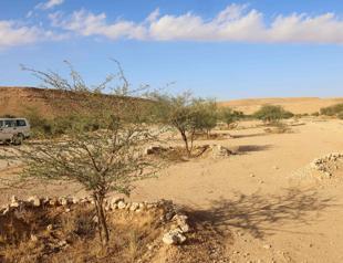 Saudi Arabia hosts UN talks on drought