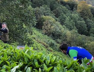 Rize’s tea masters to share Turkish brewing art in Japan