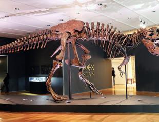 Fossilized digestive remains reveal new perspectives on dinosaur dominance on Earth