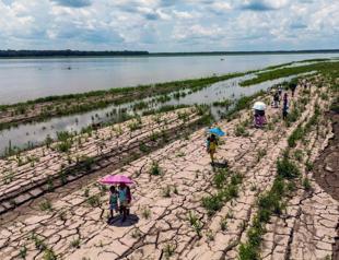 Global drought carries $300 bln annual cost: UN