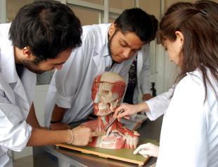 Cadaver shortage hinders medical education