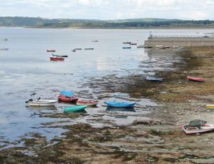 Some 225 bln liras spent on environmental protection last year