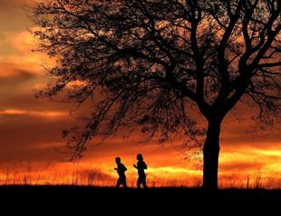 2024 certain to be hottest year on record: EU monitor