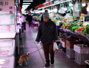 China consumer prices rise at slower rate in November