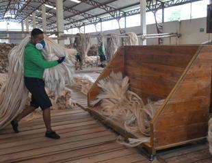 Japan firm ‘doesnt have money for slavery compensation’