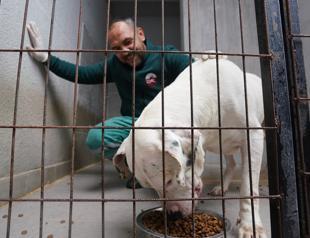 Major animal shelter in Istanbul undergoes renovation