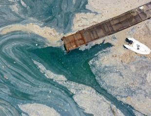 Scientific team to reconvene for Marmara Sea years after mucilage crisis