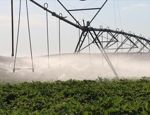 Government unveils new action plan for southeastern region