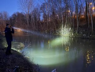 Dolphin found in Bartın river prompts rescue operation