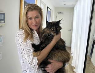 Mittens the cat becomes an accidental frequent flyer