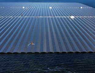 Solar power surpasses coal in EU for first time in 2024: Report