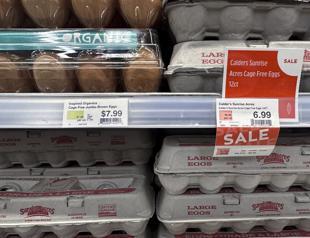 Soaring egg prices have US consumers squawking