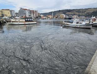 Fishermen halt operations in Marmara, Çanakkale due to mucilage