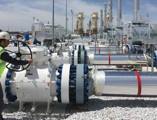 Türkiye to receive 1.3 bcm of Turkmen gas in 2025: Minister