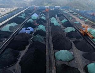 Chinas 2024 coal projects threaten climate goals: Report