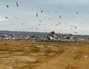Ministry fines Ankara water authority over environmental violations