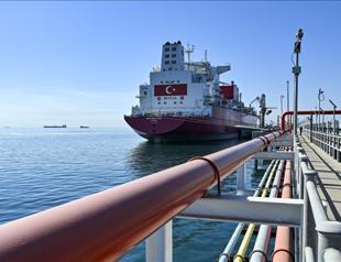 Global LNG boom to benefit Türkiye, Europe, Asia: IEA chief