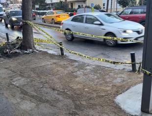 Owner seeks justice for dog electrocuted by faulty streetlight