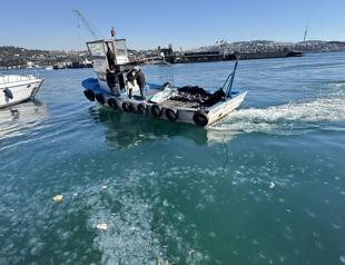 Jellyfish swarm shores of Istanbul, raising concerns