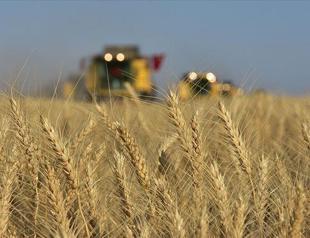 Regional conflicts threaten global food security