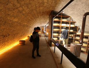 Türkiye’s first cheese museum welcomes 25,000 visitors this year