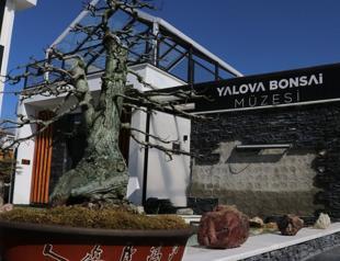 Yalova’s award-winning Bonsai Museum