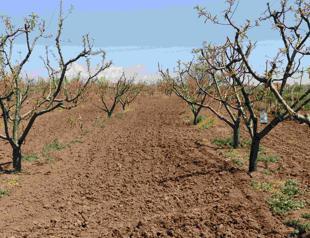 Türkiye confronts driest March in 35 years
