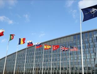 NATO allies increased defense spending by 19.4 percent in 2024: Report