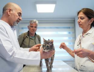Türkiye marks major progress in veterinary surgery in past two decades
