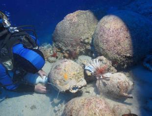 Sealed amphora discovered in shipwreck
