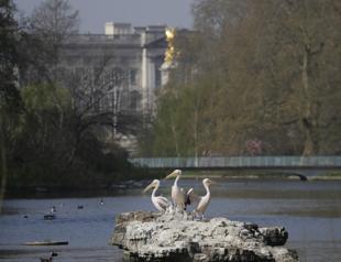 Designs compete for Queen Elizabeth IIs memorial