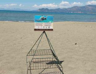 Number of Caretta caretta nests at İztuzu reaches 10
