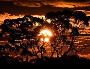 Universe dying quicker than thought: Research