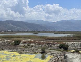 Ministry takes steps to protect Hatay bird sanctuary