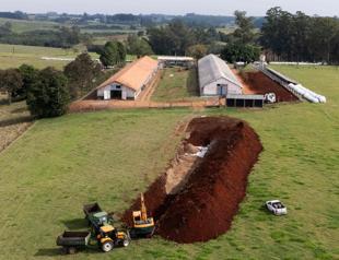 Several countries halt poultry imports from Brazil over bird flu