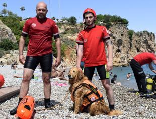 Türkiye trains its first underwater rescue dog