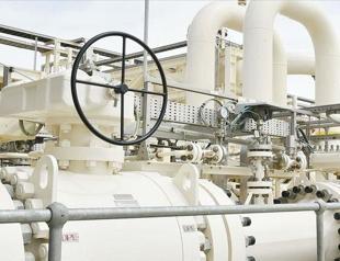 Natural gas distribution network expands 8 pct last year
