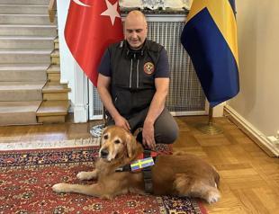 Swedish search dog who saved 18 lives in Türkiye quakes dies