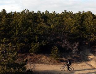 Ankara bans forest access to prevent summer wildfires
