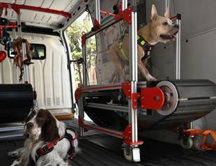 Mobile dog gym helps pets stay fit