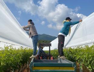 April frost cause 21 bln liras in damage, officials say