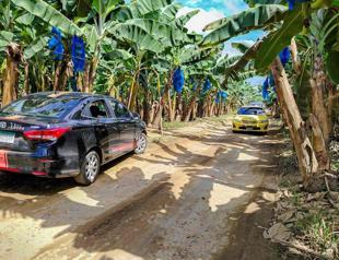 Chiquita to sack all striking Panama banana workers