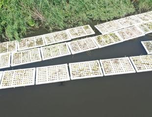 Floating islands project launched to combat pollution in Marmara Sea tributaries