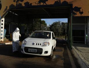 Brazil says bird flu outbreak that hit poultry sector contained